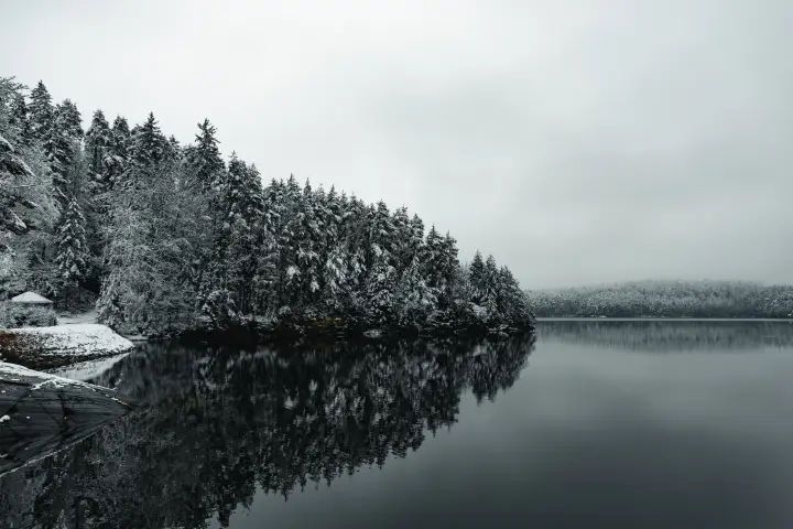 Photography image 17.